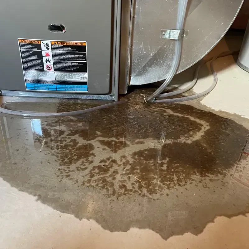 Appliance Leak Cleanup in Mitchell County, NC